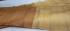 SAREES KPM SILK WITH BLOUSE